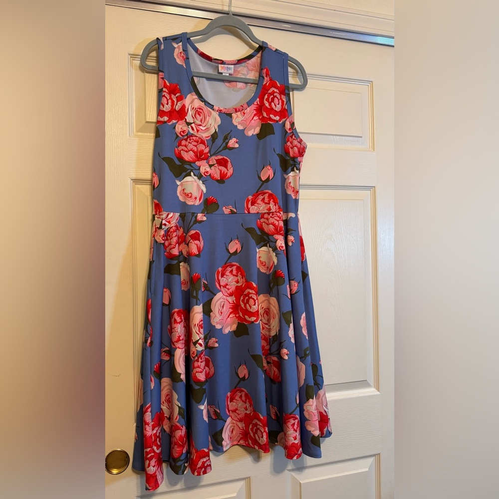 LuLaRoe Blue and Pink Floral Dress